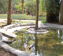 Bannerghatta National Park
