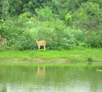 Van Vihar National Park