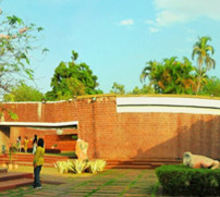 Bharat Bhavan