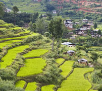 Limbukha
