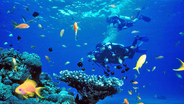 Snorkling in Lakshadweep Island