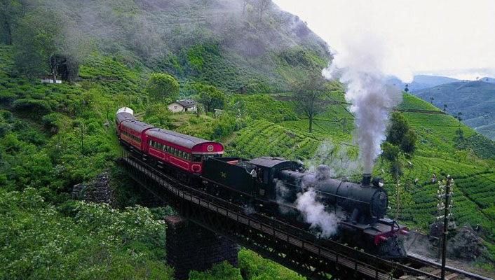Srilanka Tea Plantation