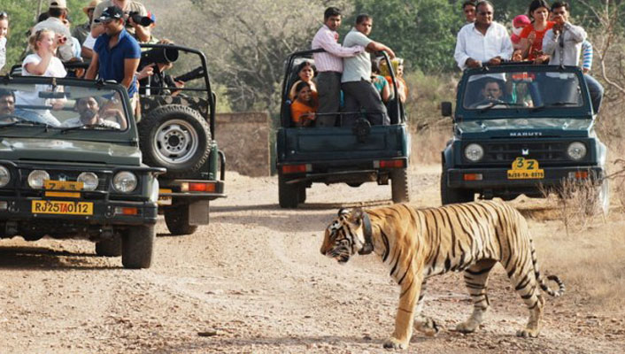 Ranthambore-National-Park