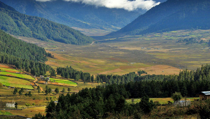Phobjika-Valley