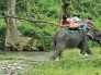 North East India Wildlife